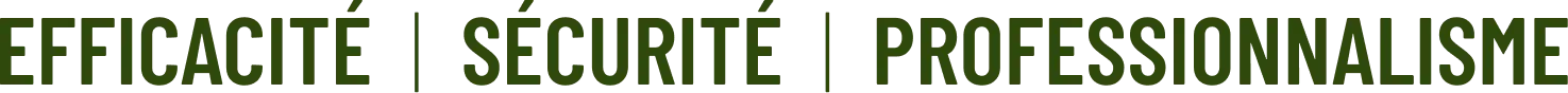 efficacite _ Securite _ Professionnalisme