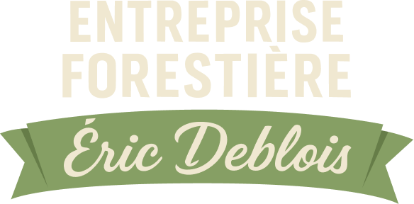 entreprise forestiere deblois