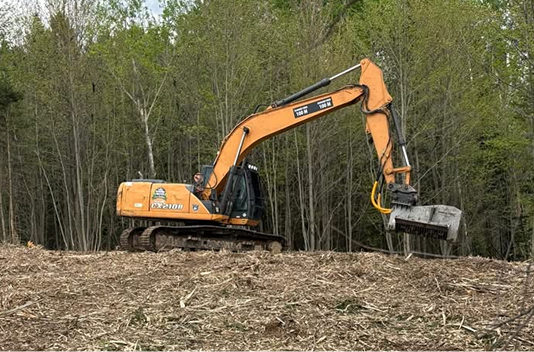 déboisement et broyage forestier