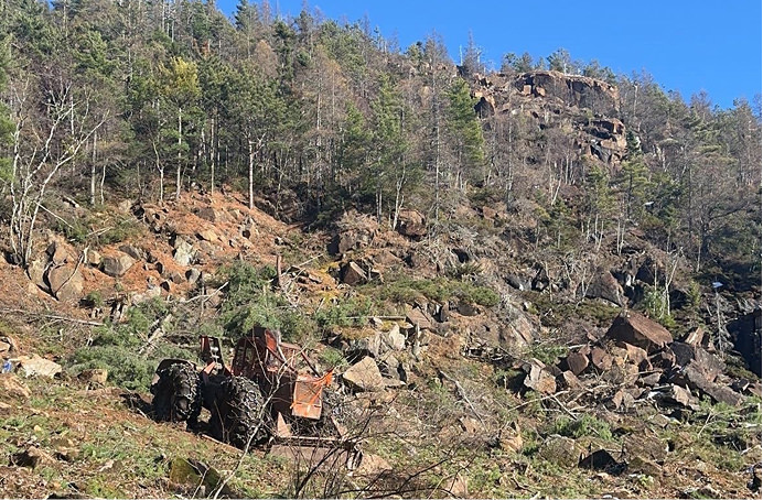 déboisement et broyage forestier