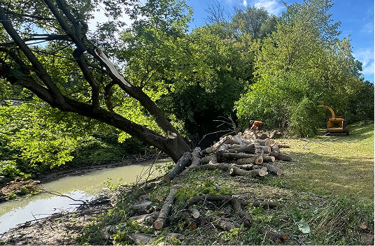 déboisement et broyage forestier