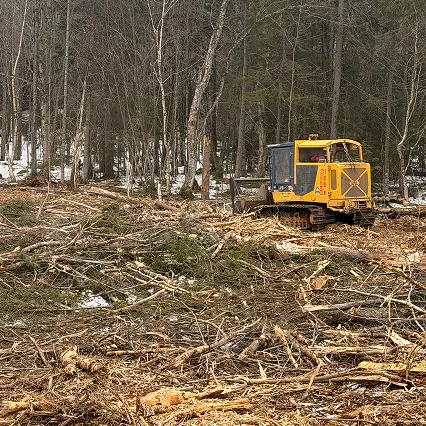 service broyage forestier
